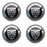 Колпачок ступицы Jaguar (63/59/7) хром и черный